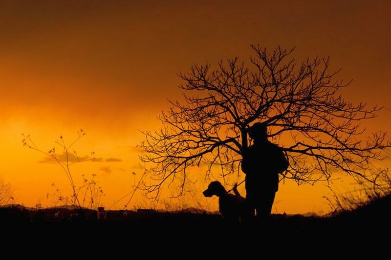 Person with Dog at Sunset — Orange