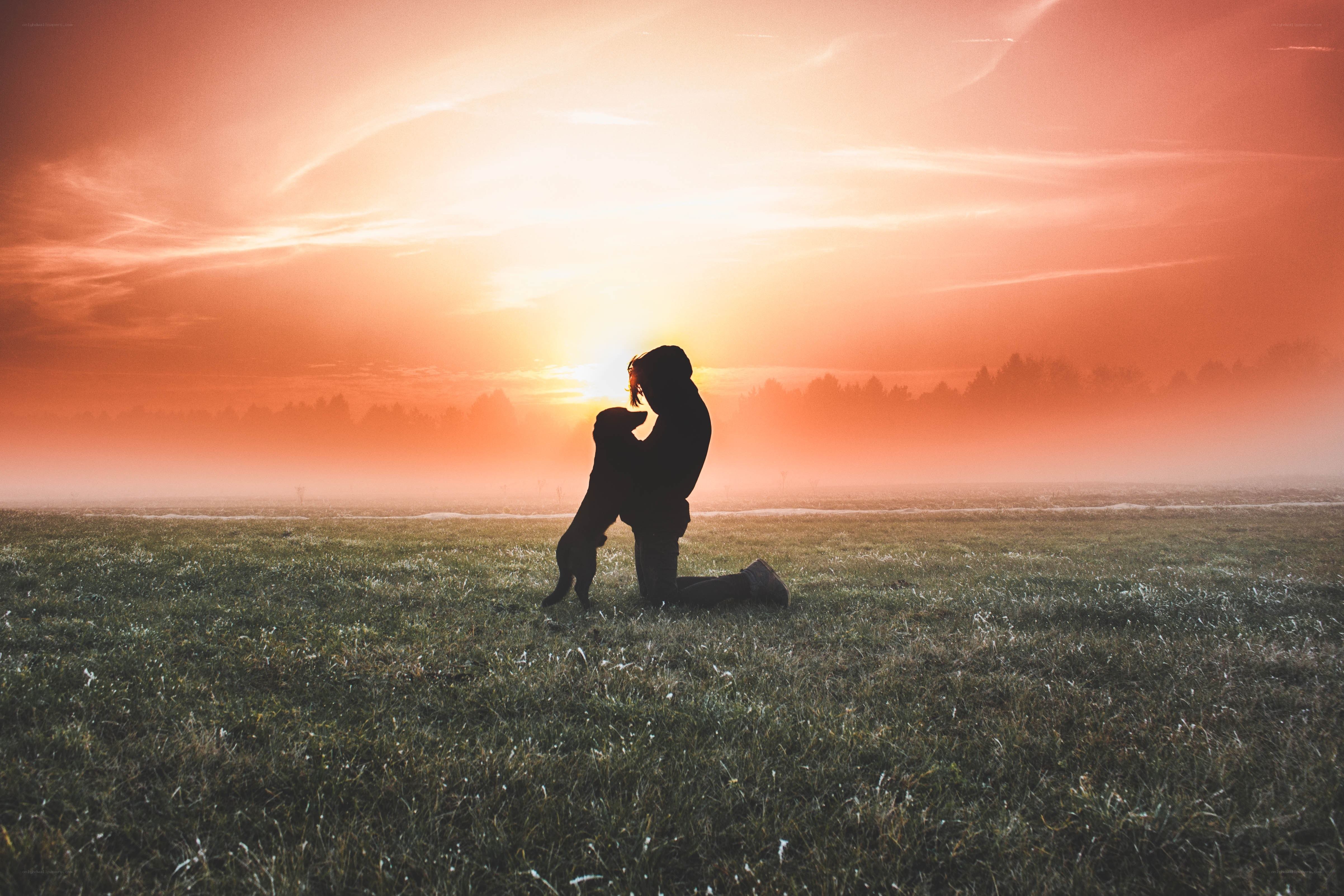 person with dog at sunset