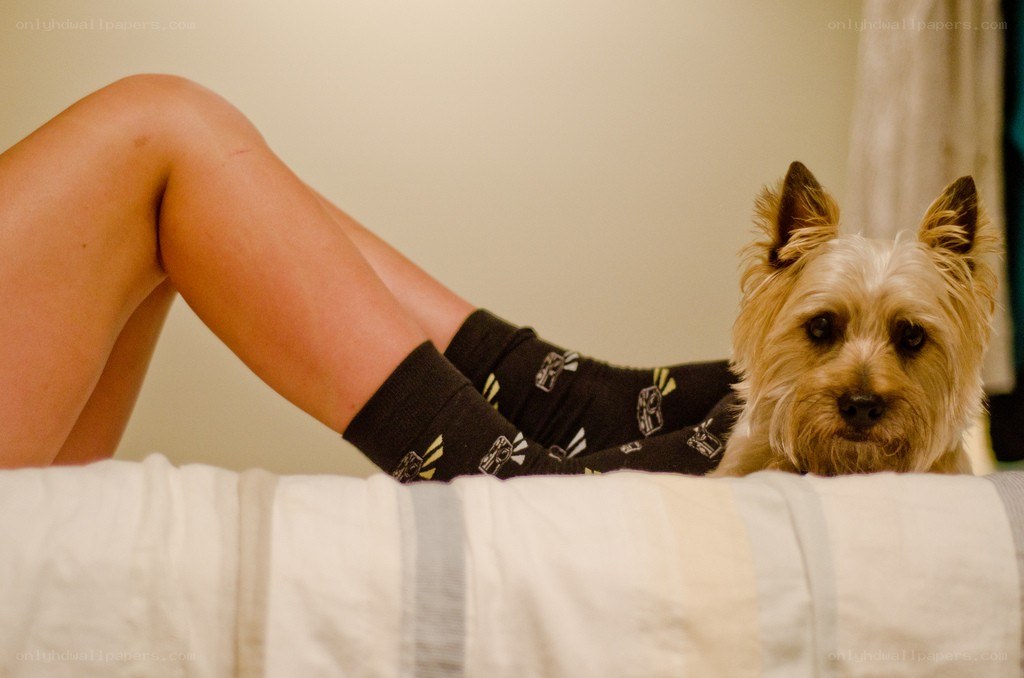 person with dog on bed