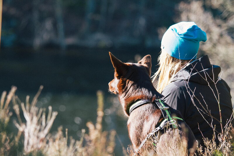 Person with Dog Outdoors