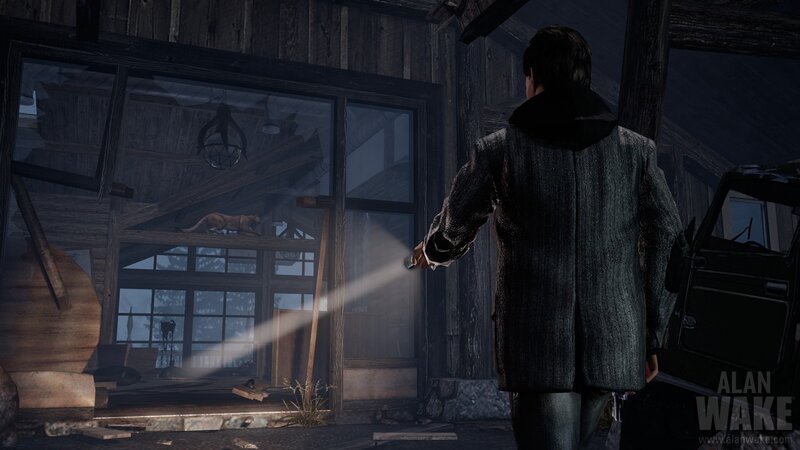 Person with Flashlight in Cabin