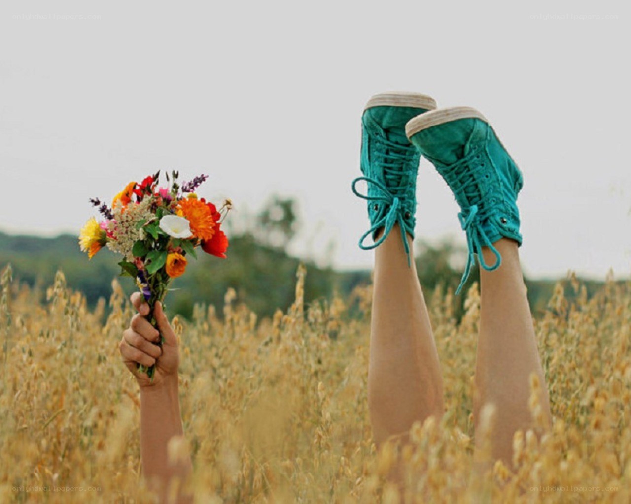 Person with flowers in a field