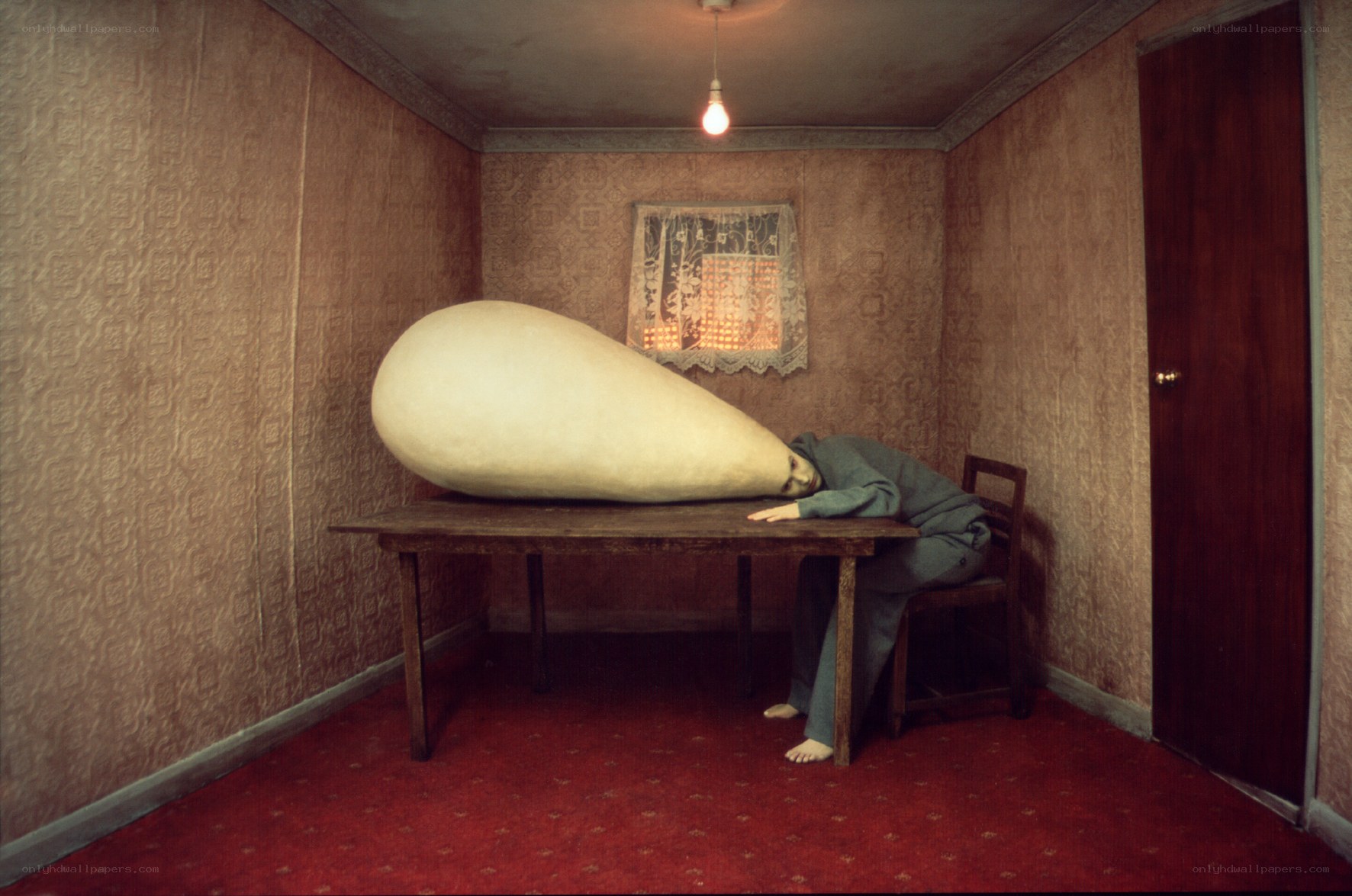 Person with giant egg on table