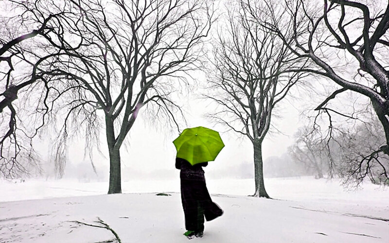 Person with Green Umbrella