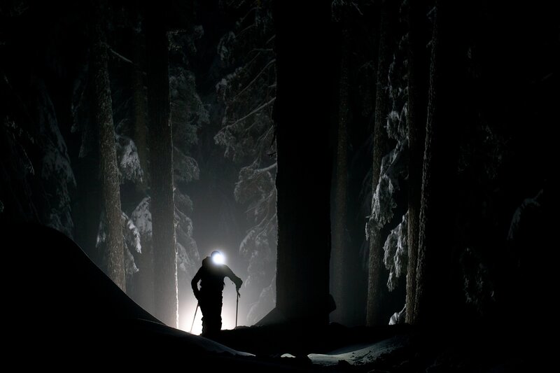 Person with Headlamp in Forest