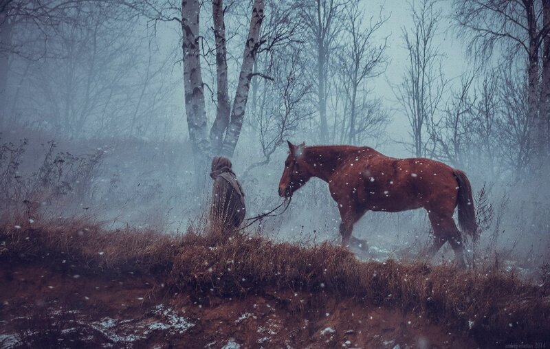 Person with Horse in Forest — Brown