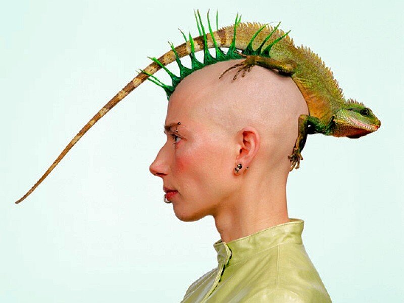 person with lizard on head