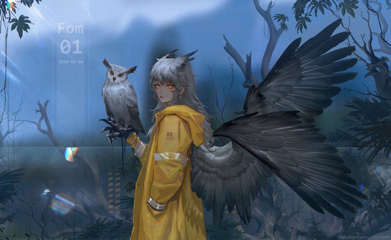 Person with Owl and Wings