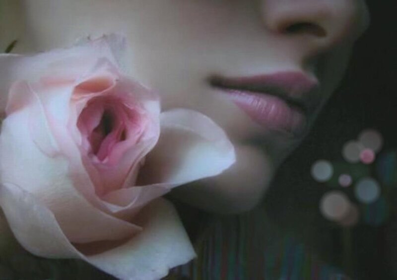 Person with Pink Rose