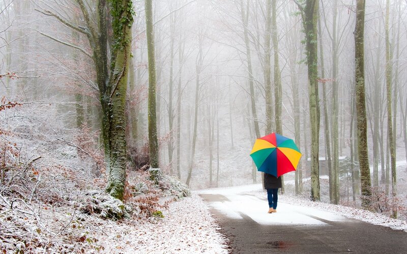 Person with rainbow umbrella in snowy forest