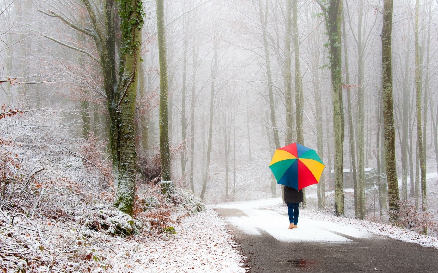 Person with rainbow umbrella in snowy forest