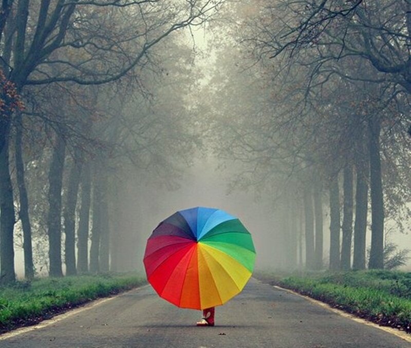 Person with Rainbow Umbrella — Misty