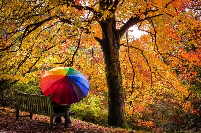 Person with Rainbow Umbrella — Yellow