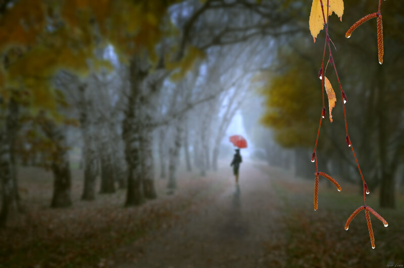 Person with Red Umbrella — Brown