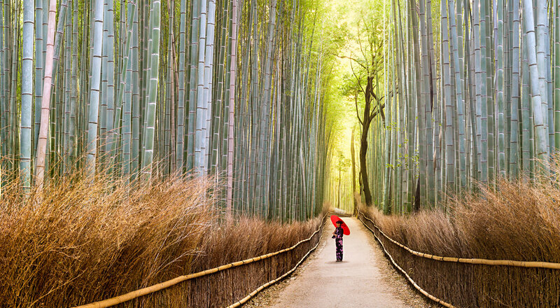 Person with Red Umbrella — Green, Serene, Afternoon