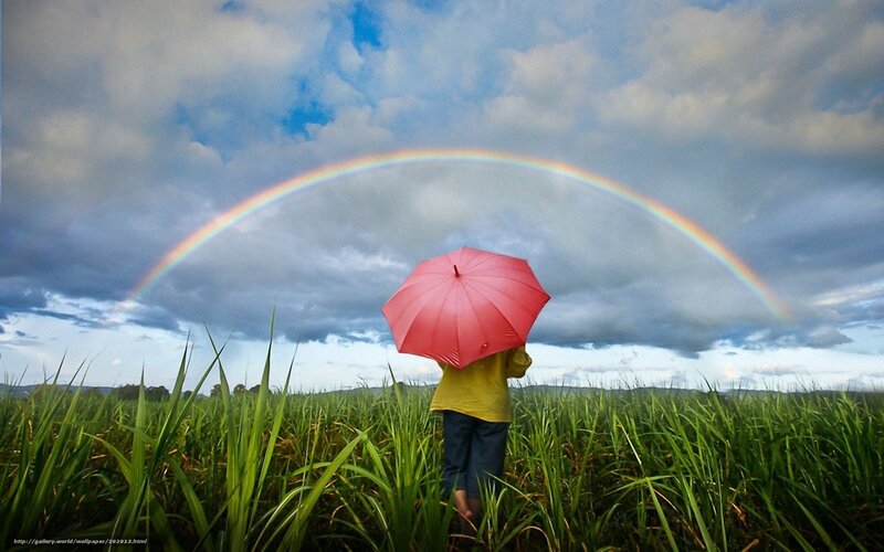 Person with red umbrella in field