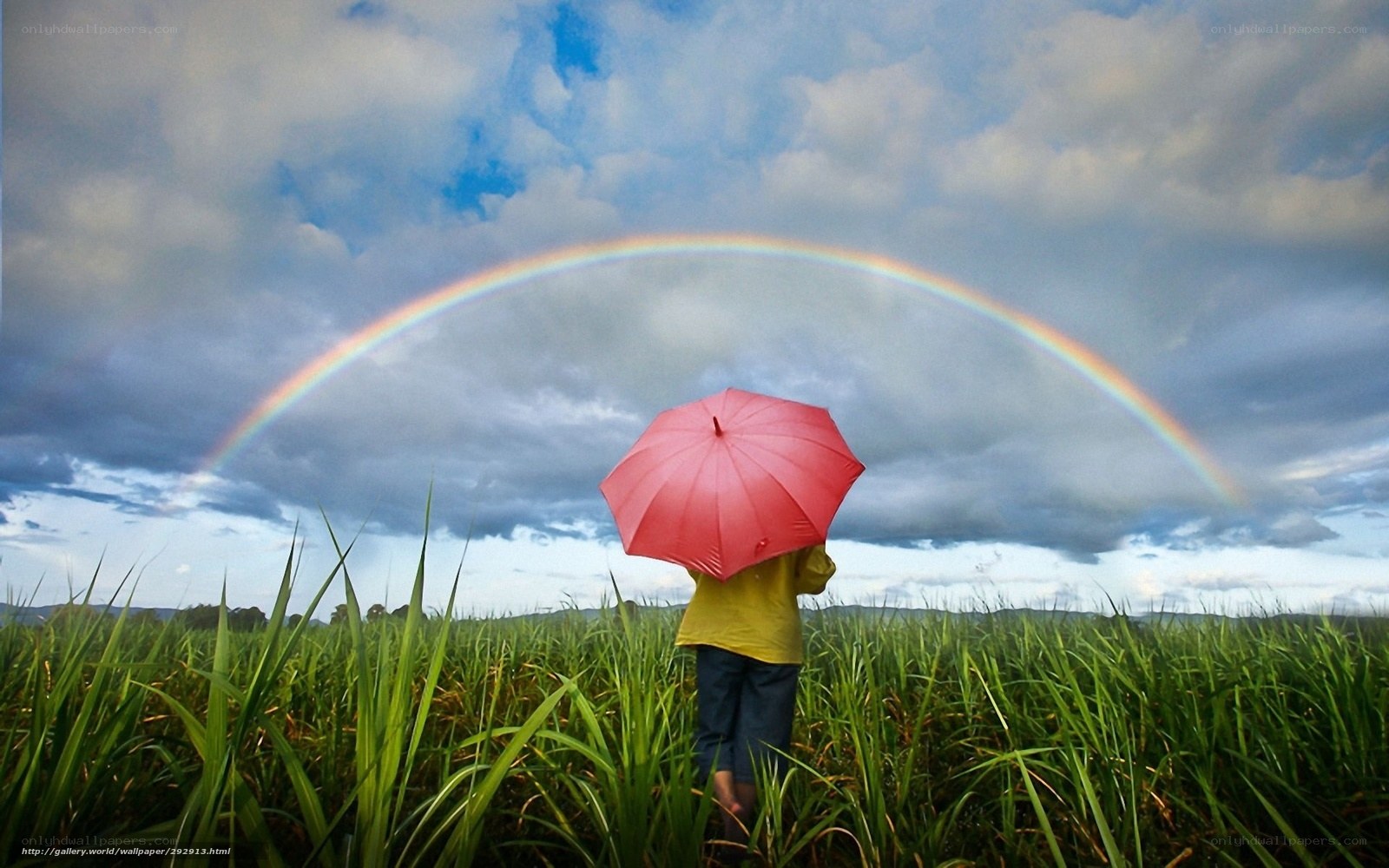 Person with red umbrella in field