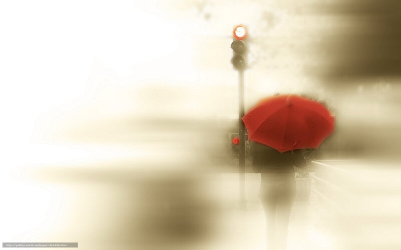 person with red umbrella in fog