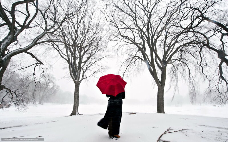 person with red umbrella in snow