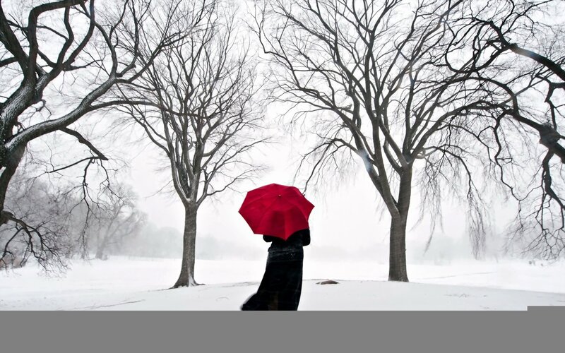 person with red umbrella in snow