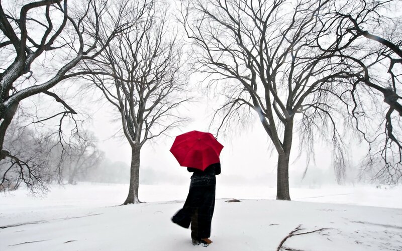 Person with red umbrella in snow