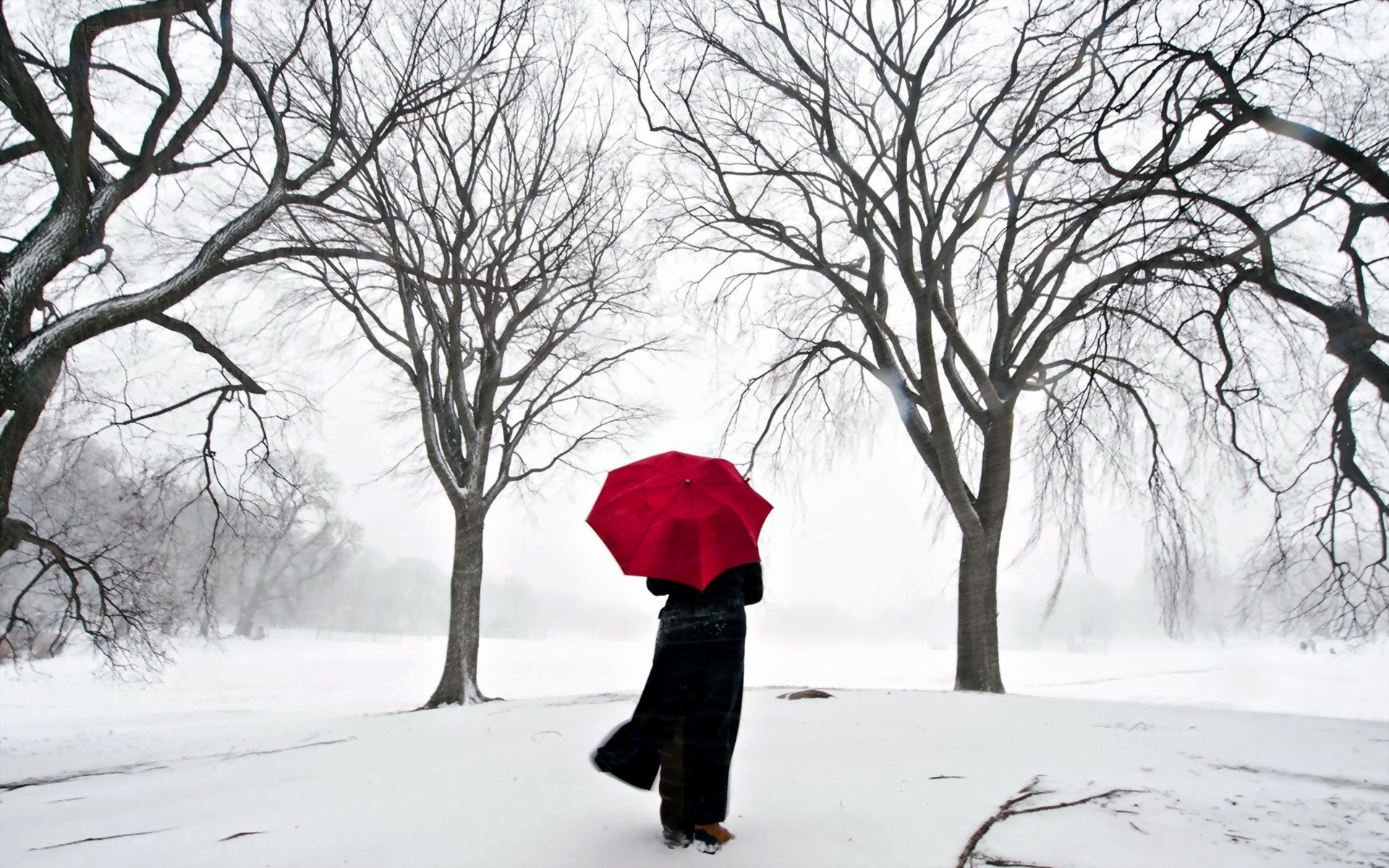 Person with red umbrella in snow