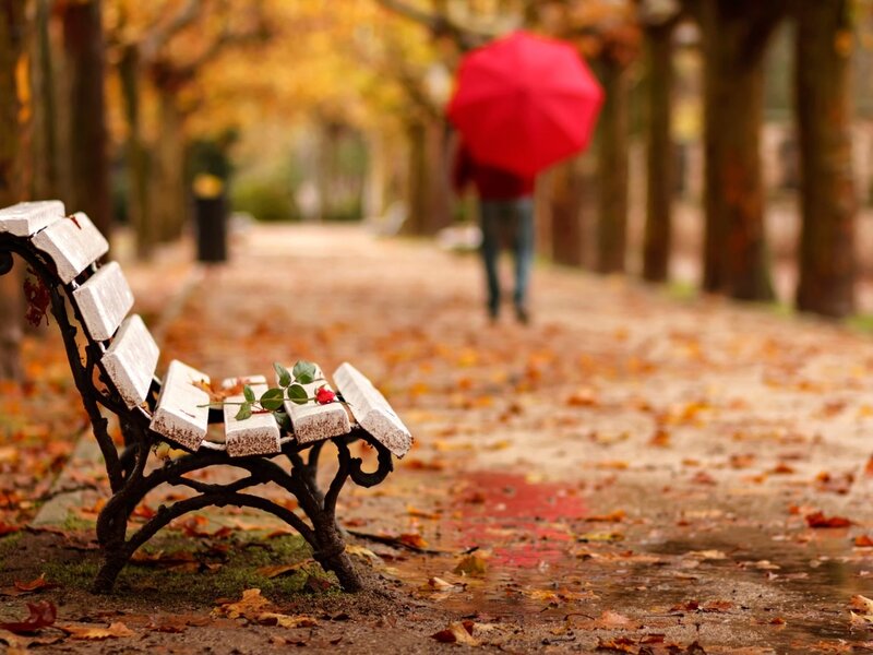 Person with Red Umbrella — Melancholic, Autumn