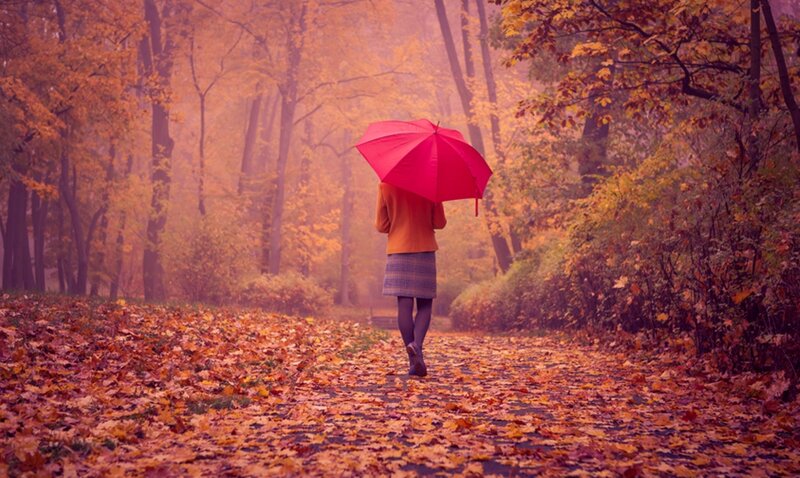 Person with Red Umbrella — Serene, Autumn, Photograph, Leaves