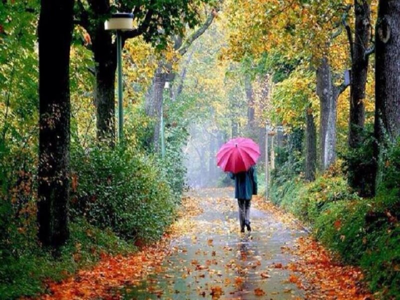 Person with Red Umbrella — Serene, Autumn