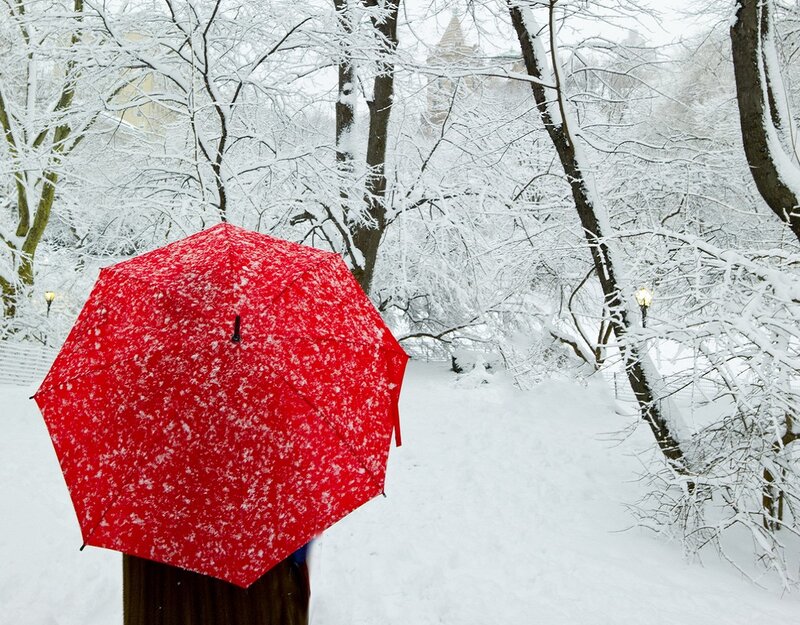 Person with Red Umbrella — Serene, Winter, Photograph