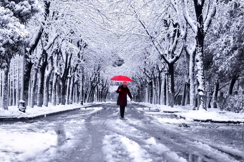 Person with Red Umbrella — Serene, Winter