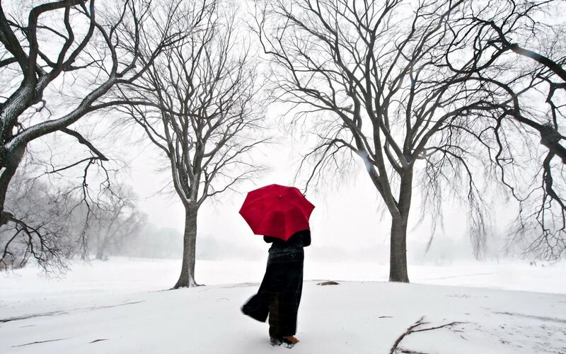 Person with Red Umbrella — Solitary