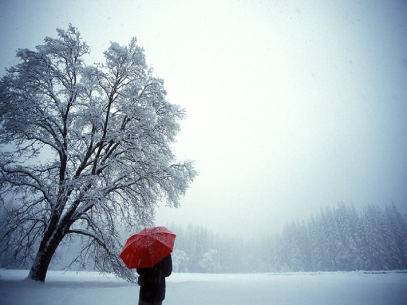 Person with Red Umbrella — White, Cold, Winter, Photograph