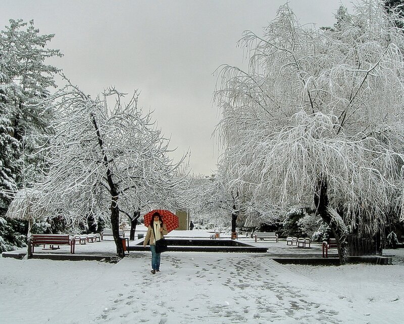 Person with Red Umbrella — White, Cold, Winter