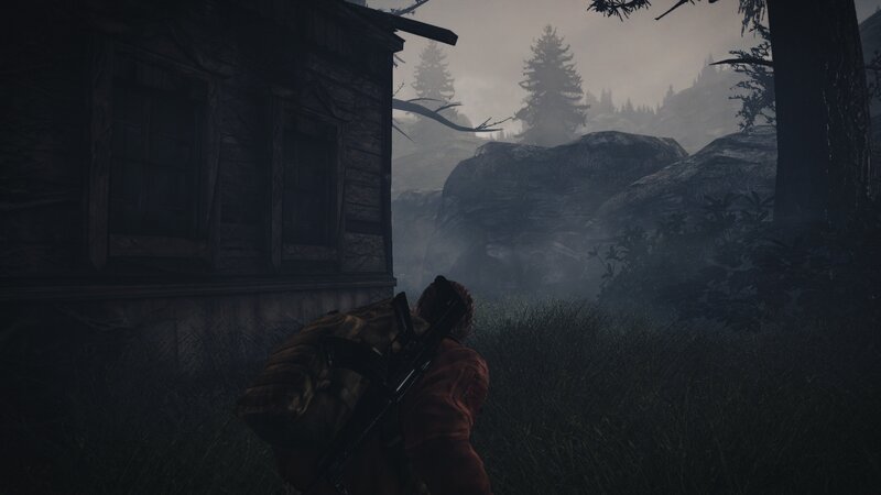 Person with Rifle in Forest
