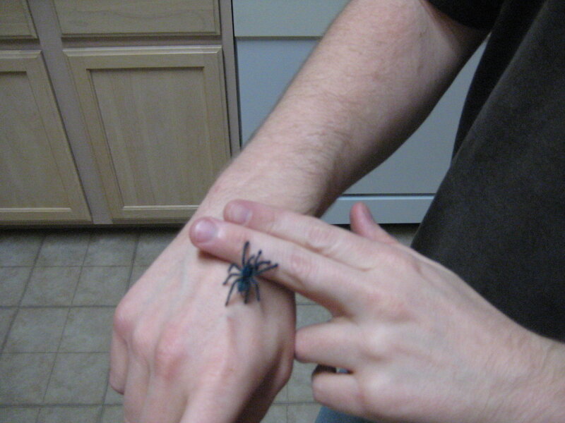 person with spider on hand