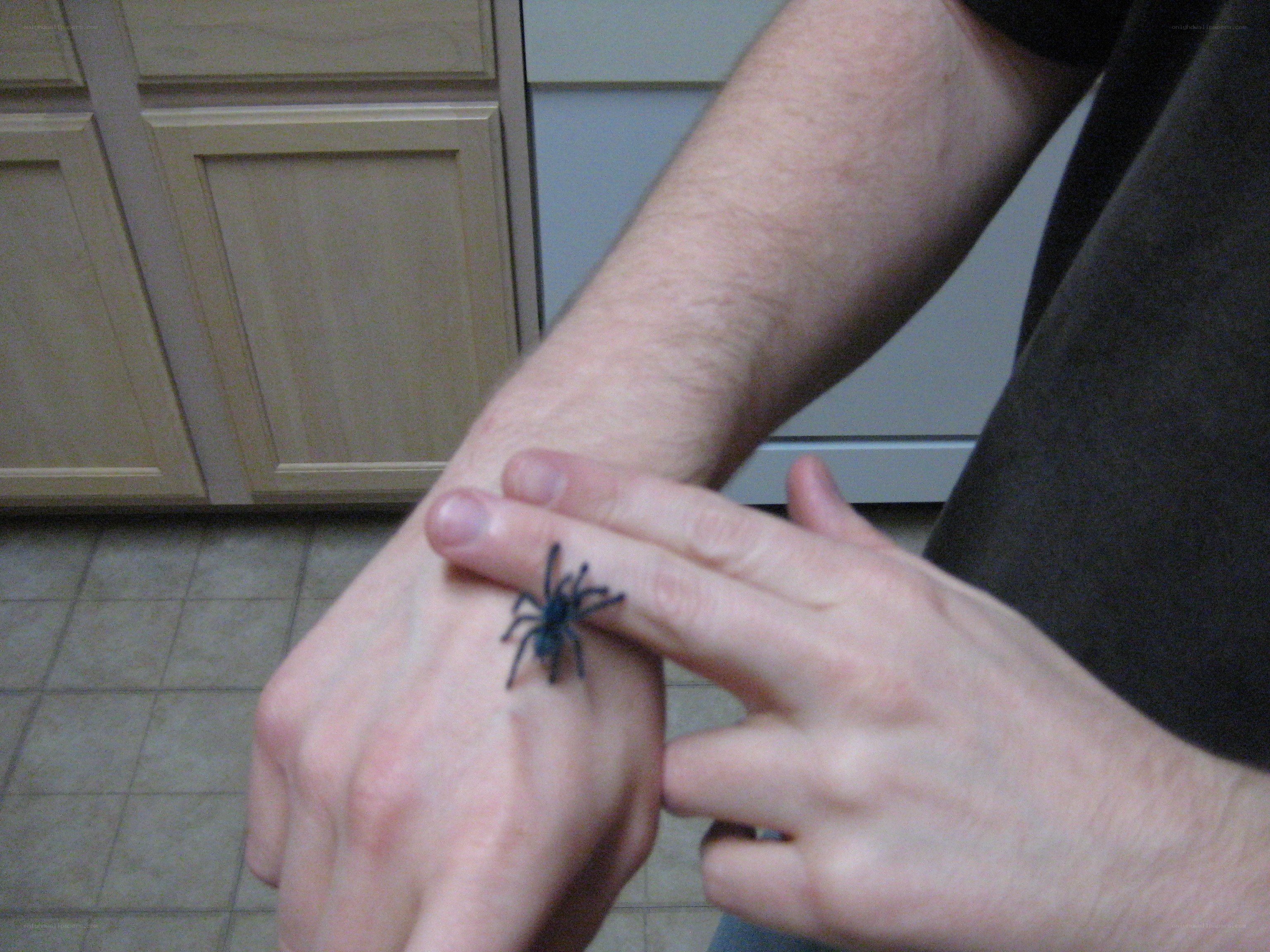 person with spider on hand
