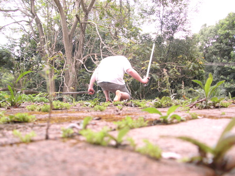 Person with swords in forest