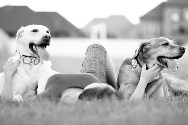 Person with Two Dogs