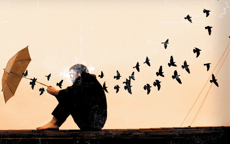 person with umbrella and birds