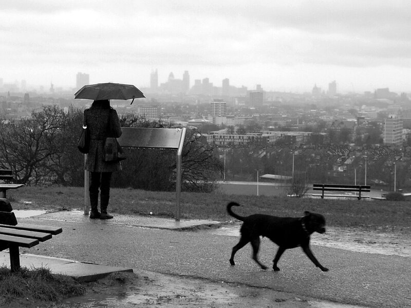 Person with Umbrella and Dog