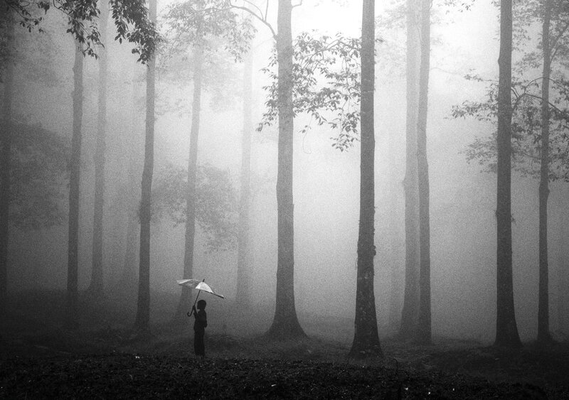 Person with Umbrella — Black, Misty