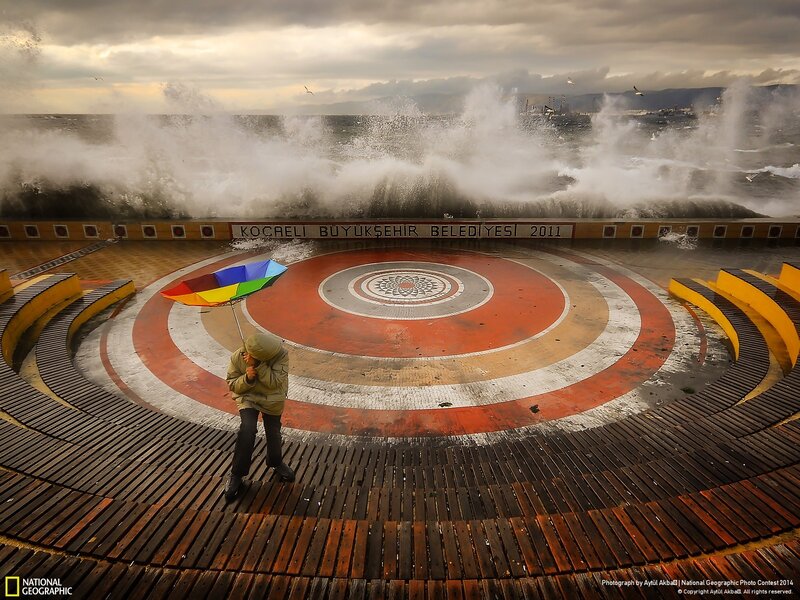 Person with Umbrella — Brown, Dramatic, Afternoon