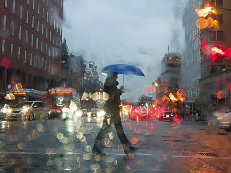 Person with Umbrella Crossing Street — Blue