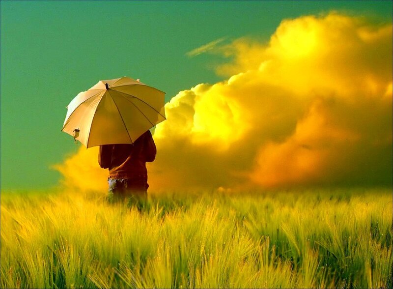 Person with umbrella in field