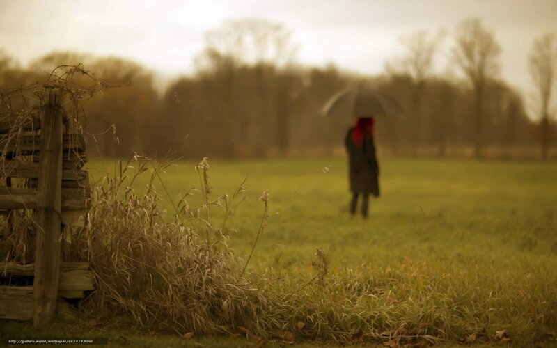 person with umbrella in field