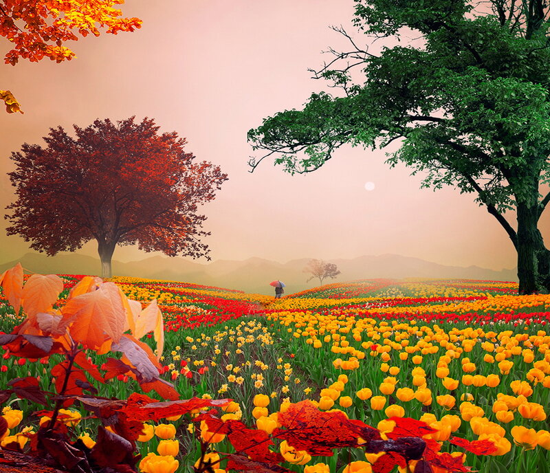Person with Umbrella in Field — Yellow