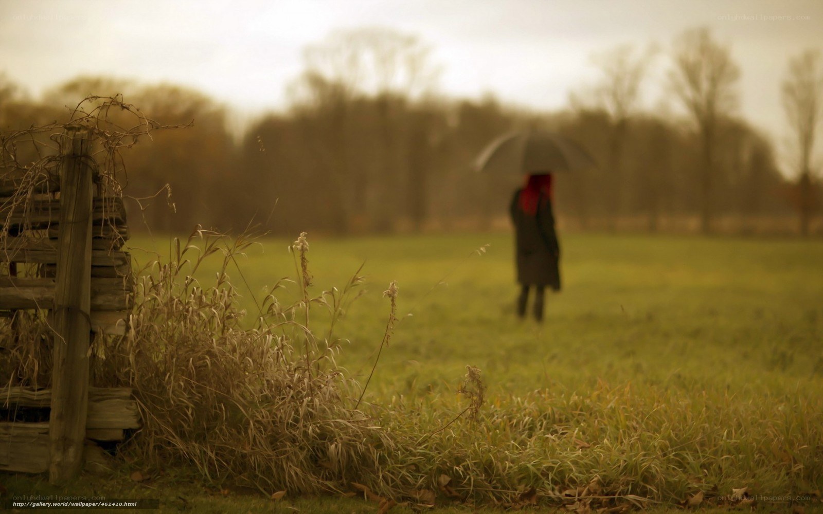 person with umbrella in field