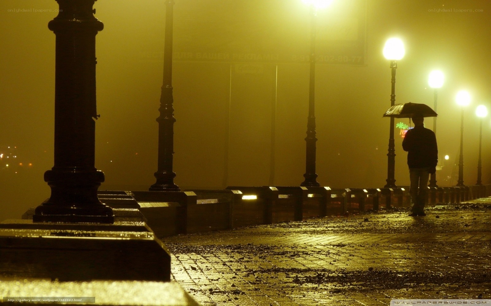 Person with umbrella in foggy night