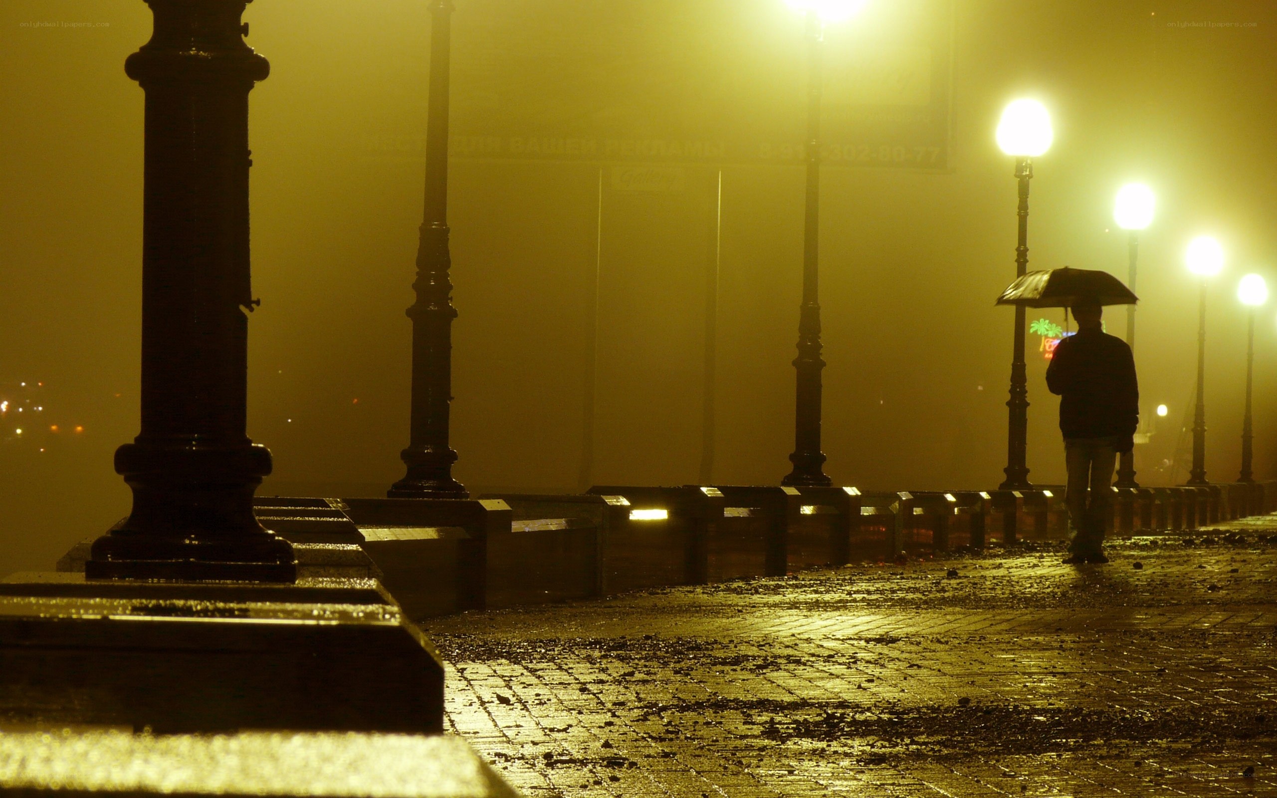 Person with umbrella in foggy night